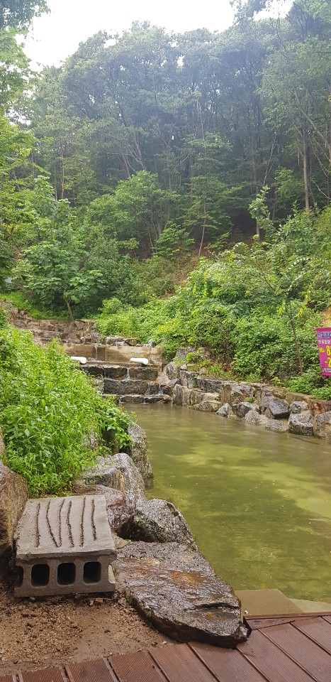 사회교육 강사 야외나들이