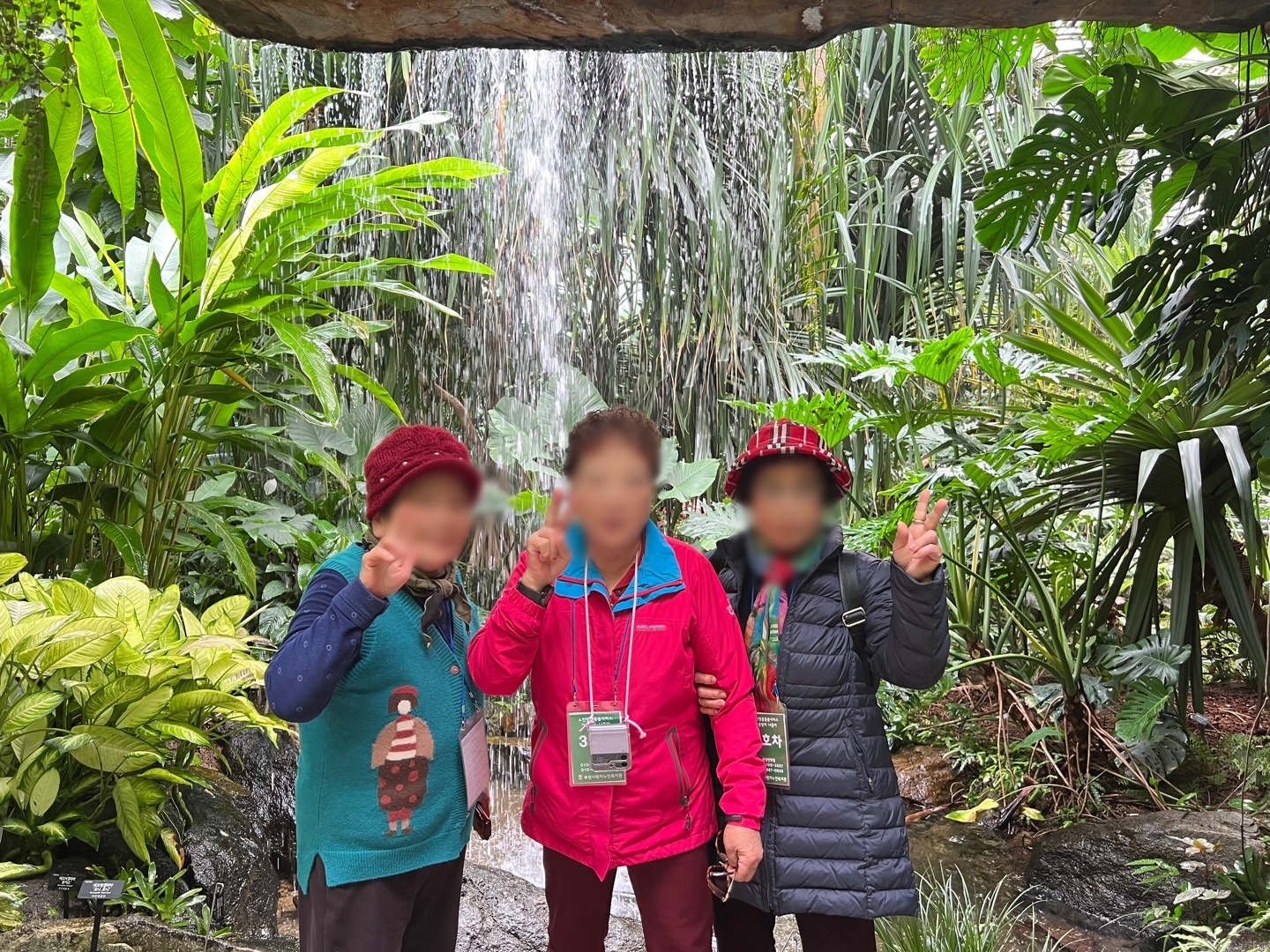 노인맞춤돌봄 하반기 문화활동