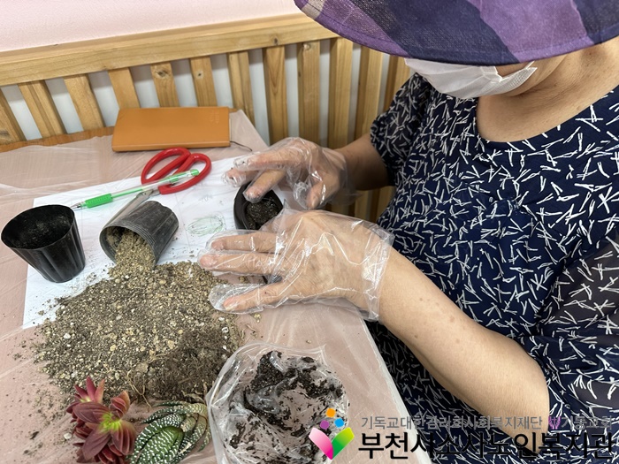 동화원예