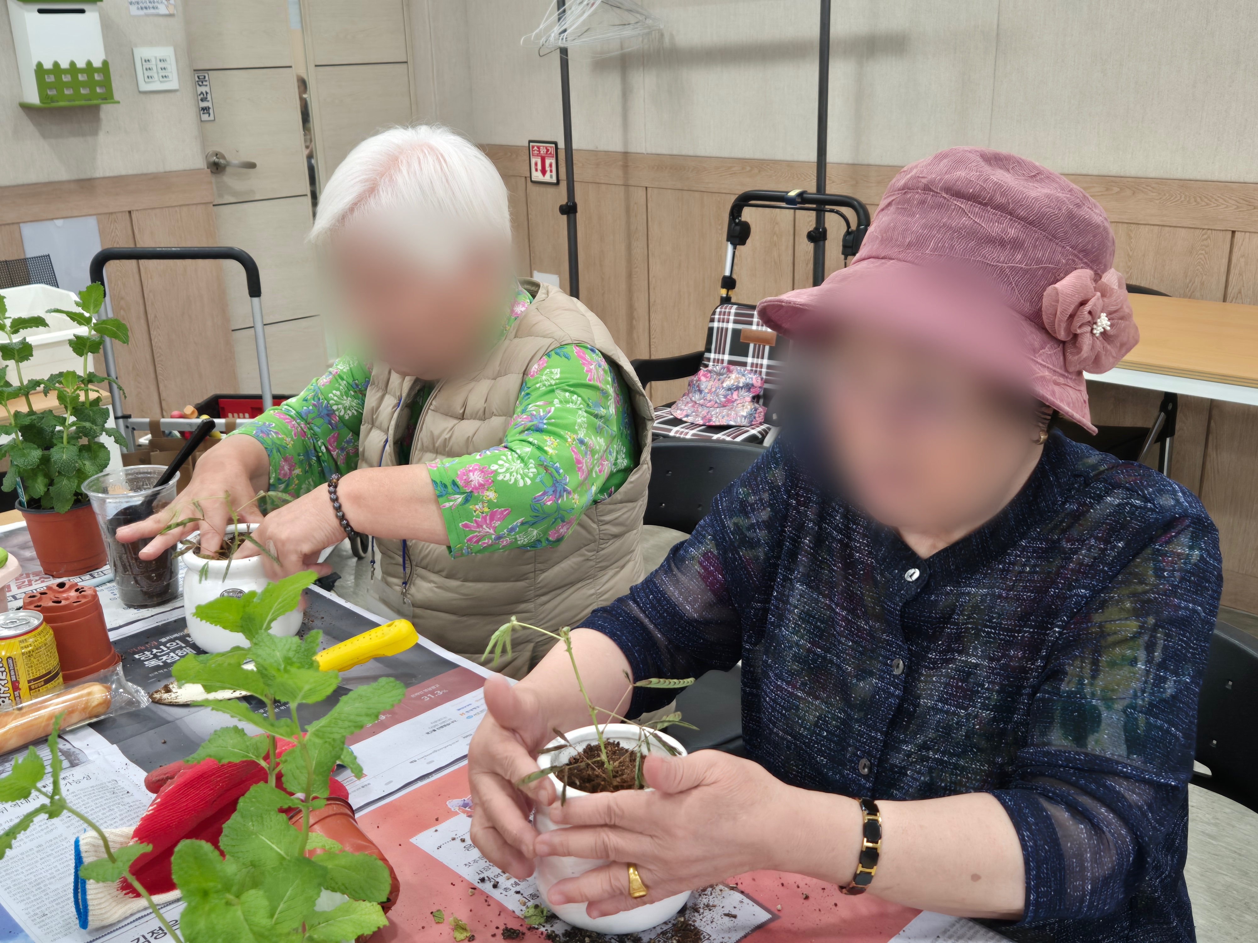 사진1