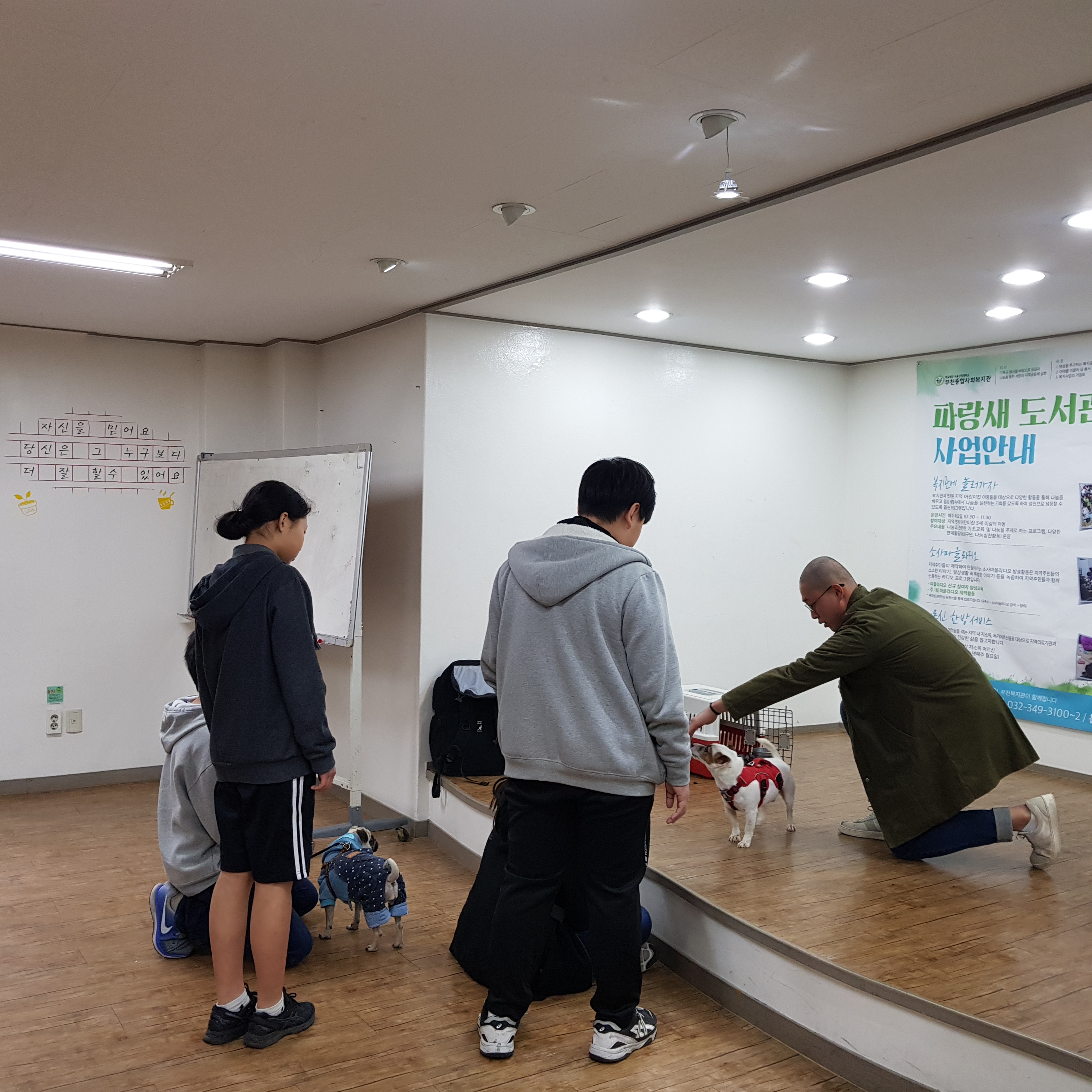 월드비전 꿈디자이너 반려동물관리사&반려동물카페 체험