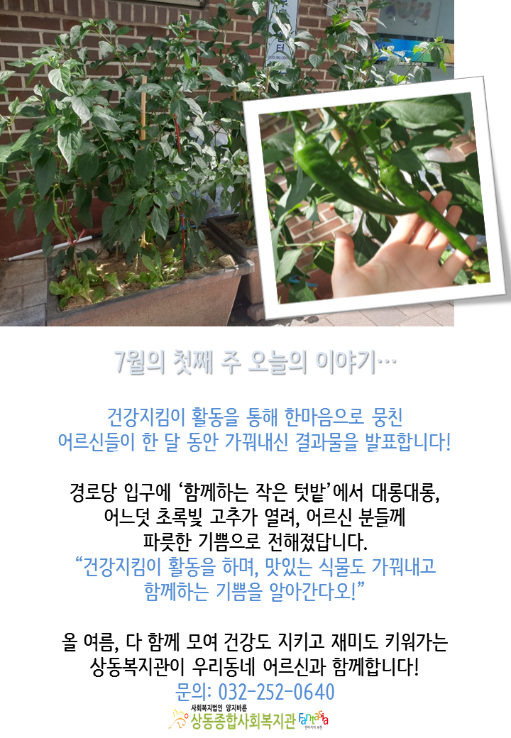 [활동보고]어르신의 건강 지킴이(대체의학)서비스