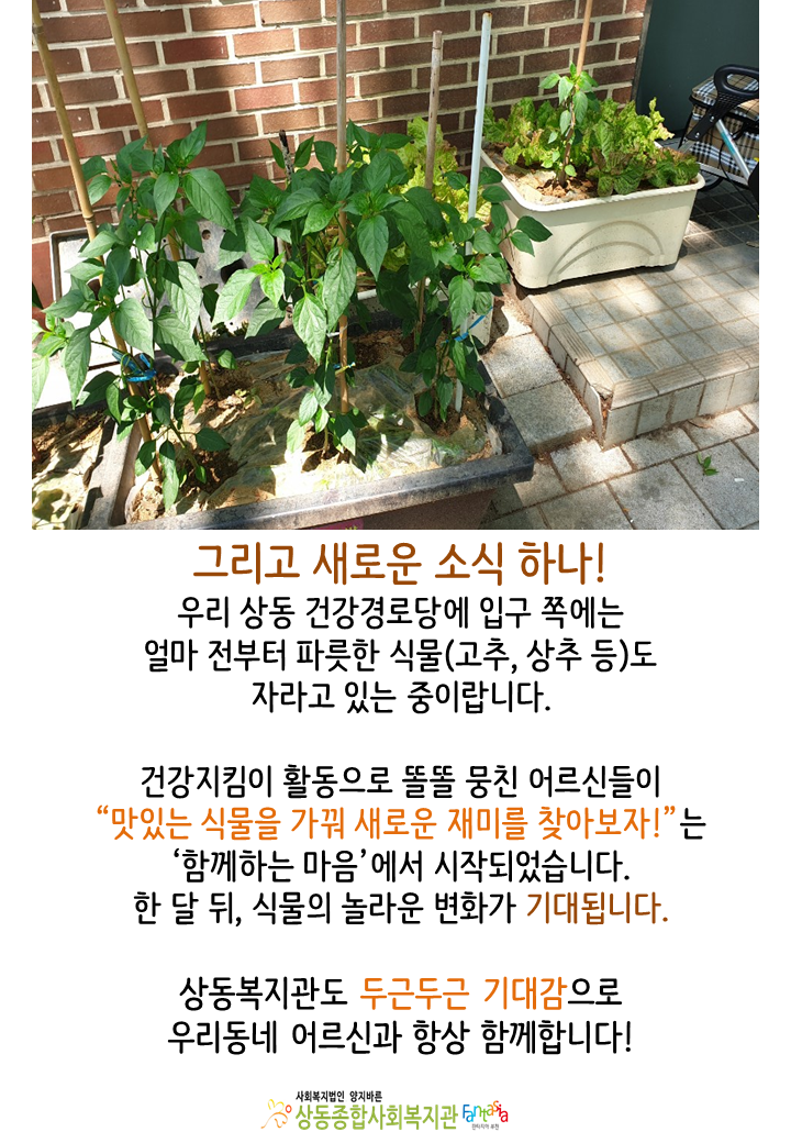 [활동보고]2019.06.03 어르신의 건강을 지키는 (대체의학)서비스 진행