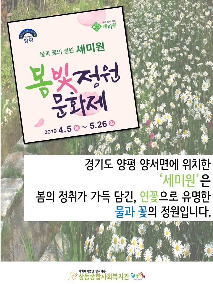 [활동보고]2019.5.23. 심명나세 어르신 효나들이