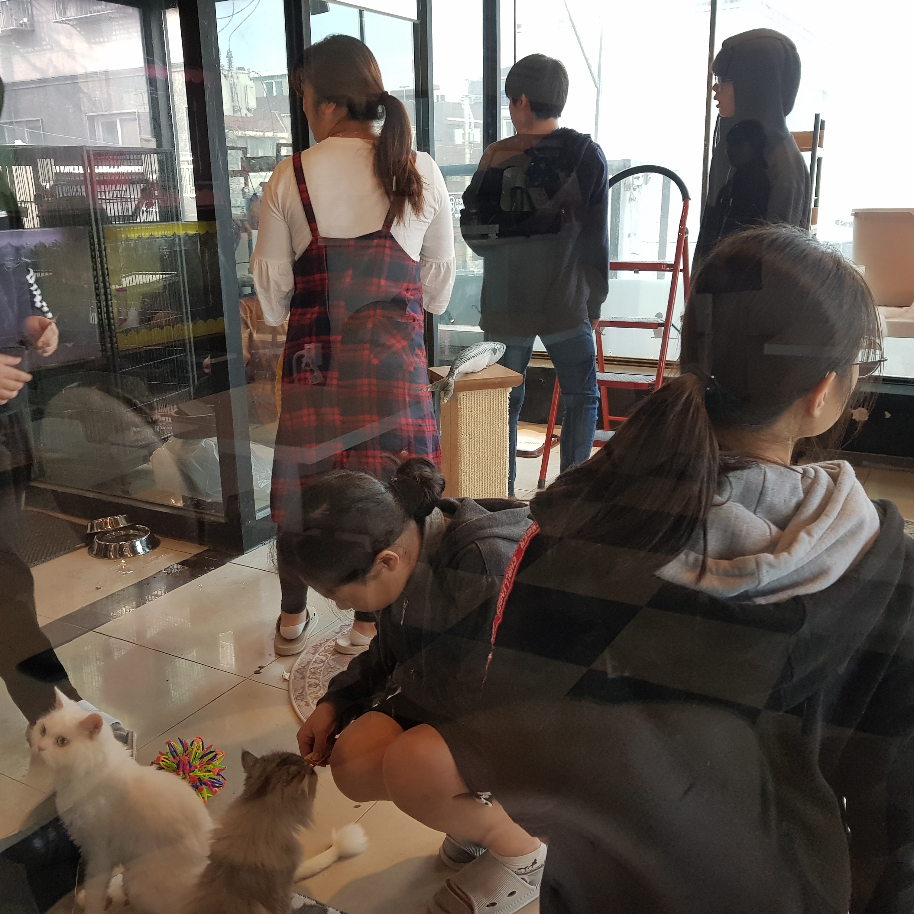 월드비전 꿈디자이너 반려동물관리사&반려동물카페 체험