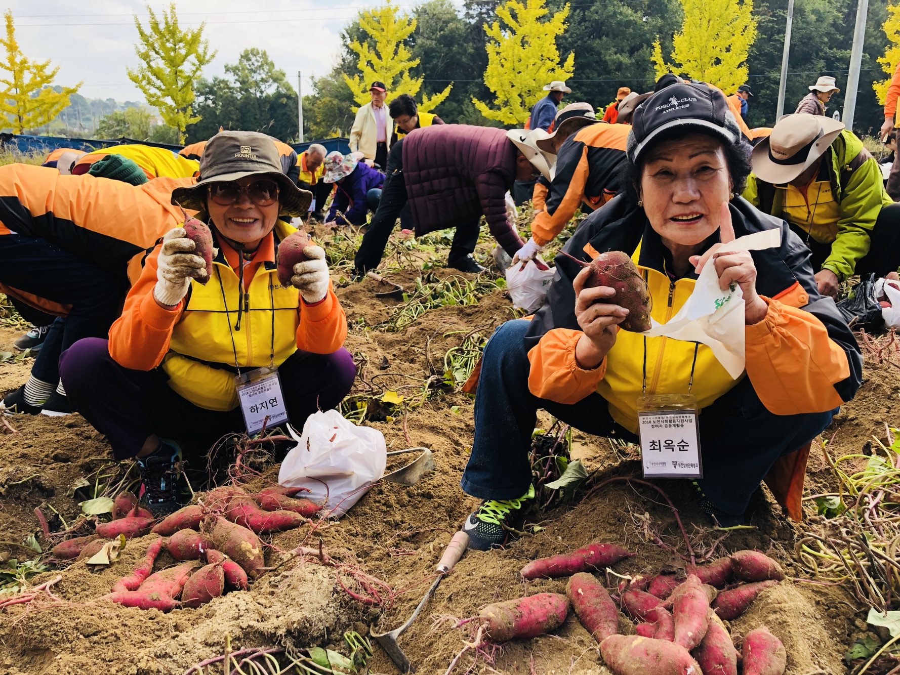 부천시니어클럽 가을 공동체 활동