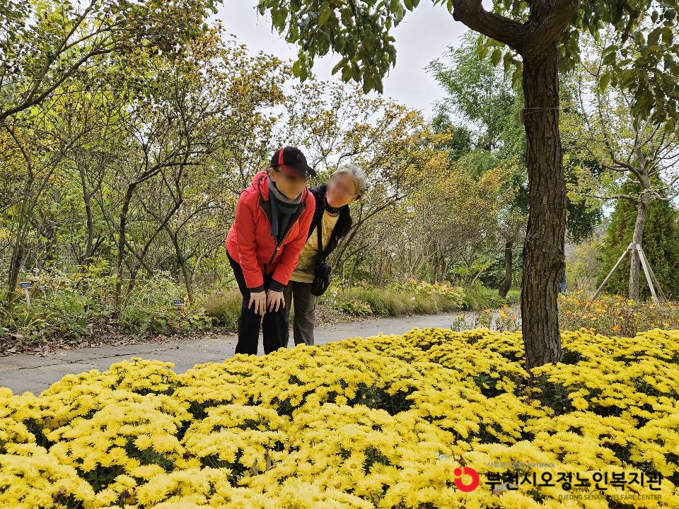 2025년 노인맞춤돌봄 특화서비스 우울형 1집단 추후 자조모임 진행