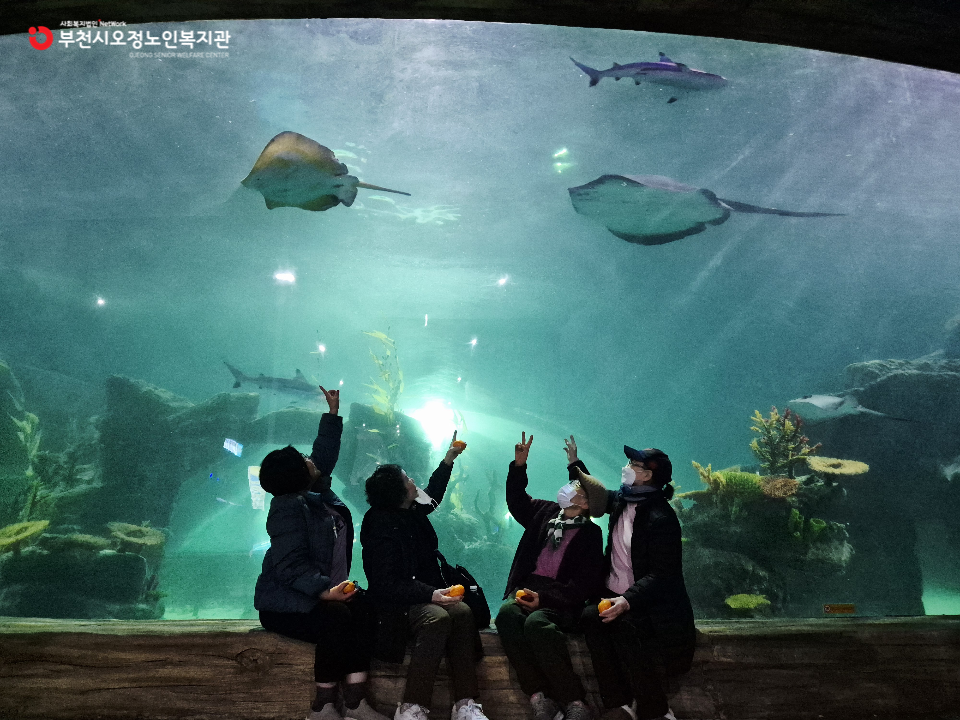 2025년 노인맞춤돌봄 특화서비스 1집단 추후자조모임 3회기 ‘바다와의 만남 – 플레이아쿠아리움 체험’ 진행