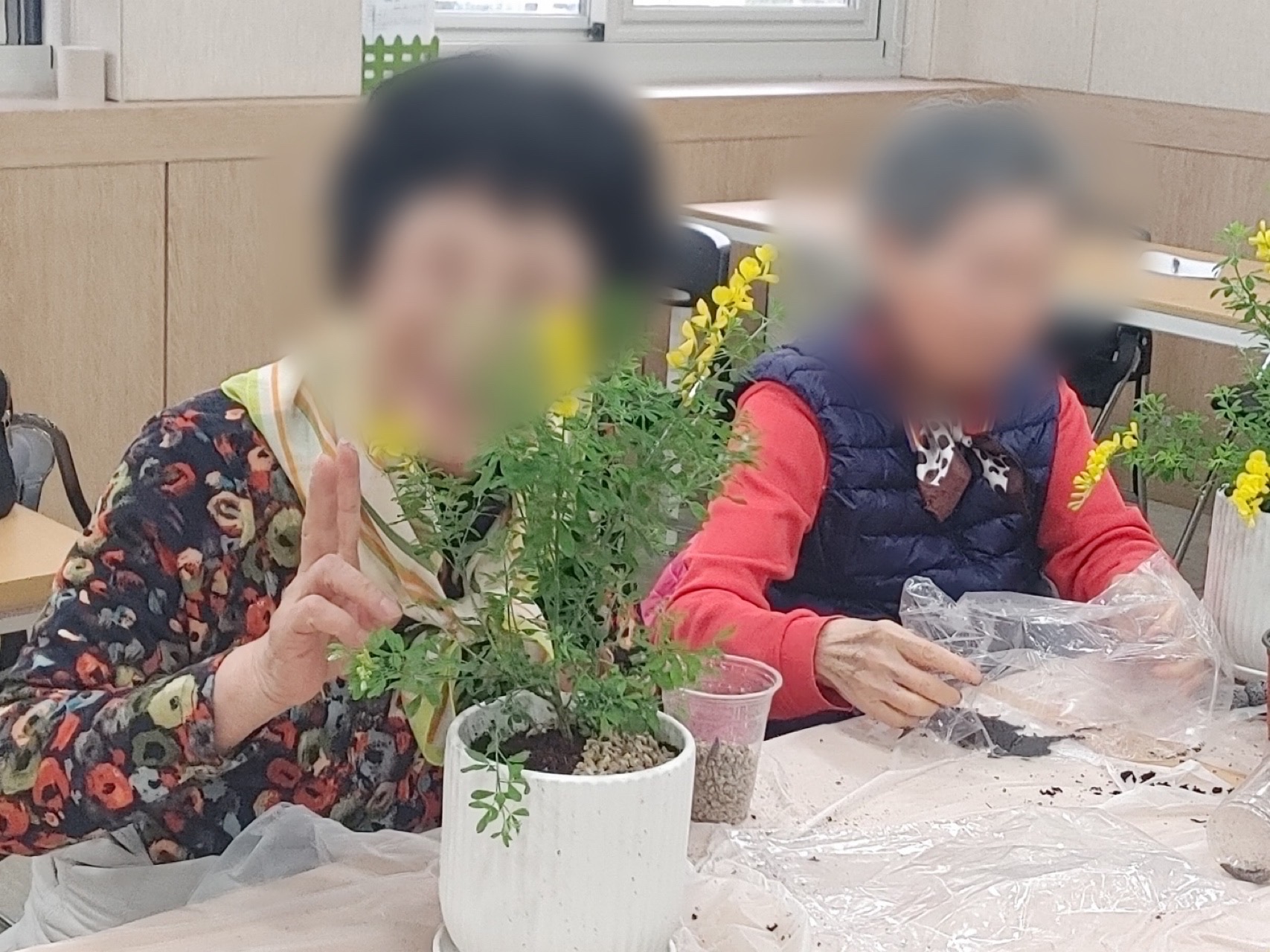 사진1