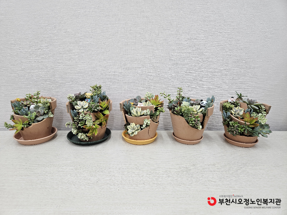 2025년 노인맞춤 특화서비스 3집단 원예치료 프로그램 '아낌없이 주는 나무'