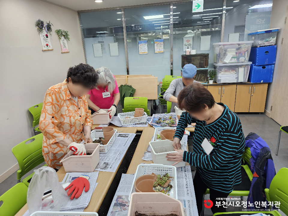 2025년 노인맞춤 특화서비스 3집단 원예치료 프로그램 '아낌없이 주는 나무'