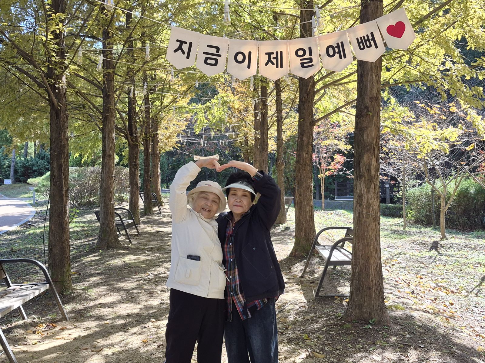 사진3